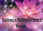 Kindess is wisdom