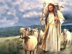 Good shepherd