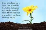 Humble heart