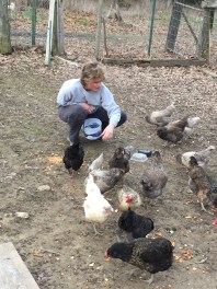 48 - Mary talks to chickens