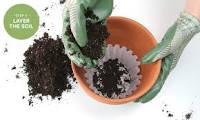 potting soil